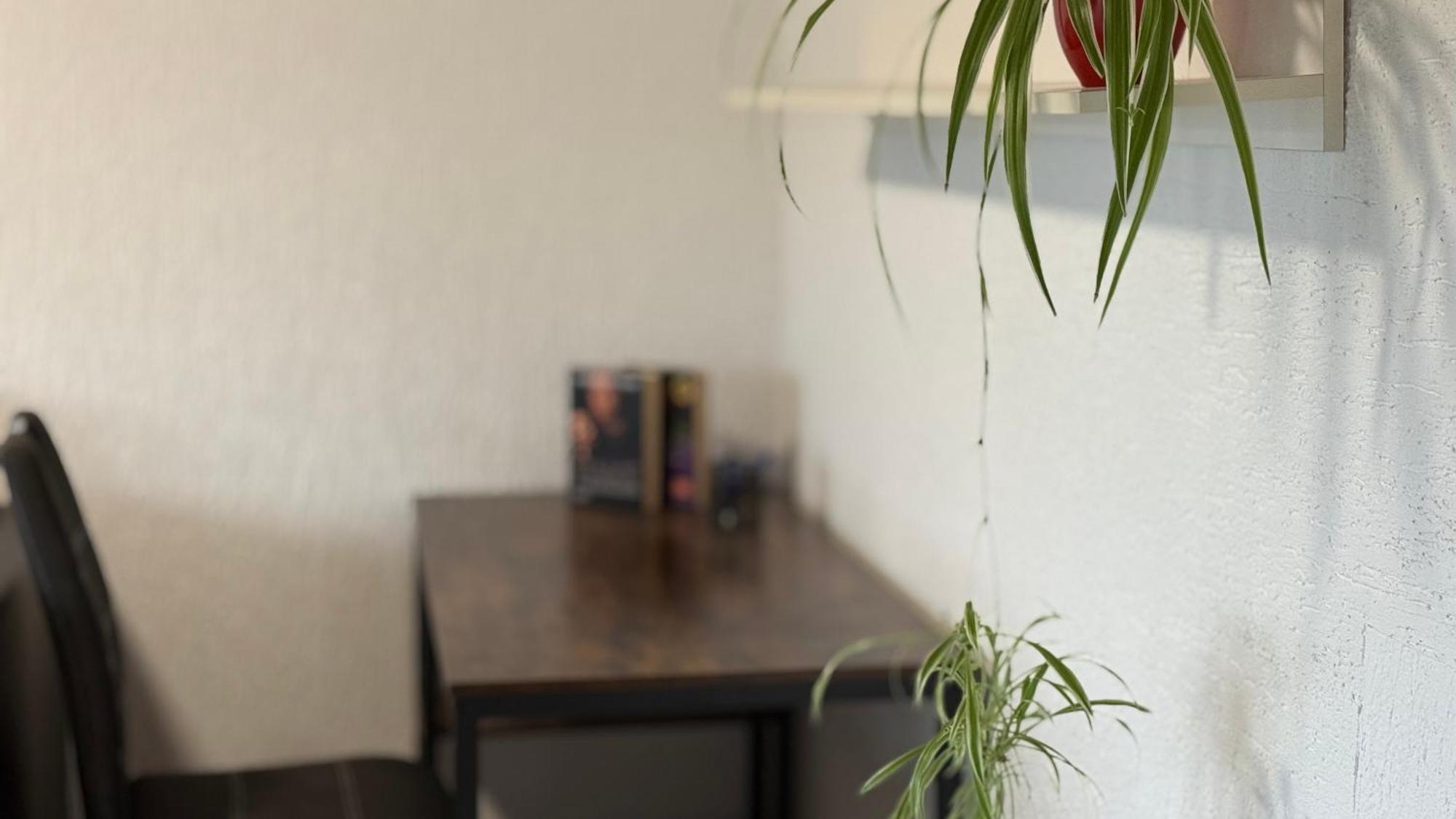 Gemuetliche 2 Zimmer Wohnung Bad Hersfeld Exteriör bild